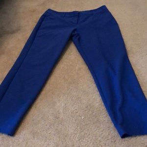Express Dress Pants
